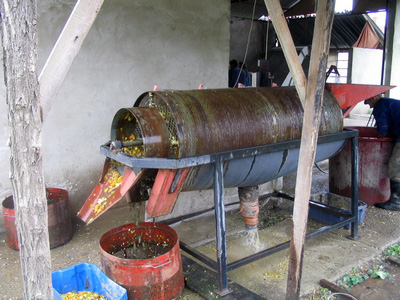 TM 2003 tökmagmosó gép